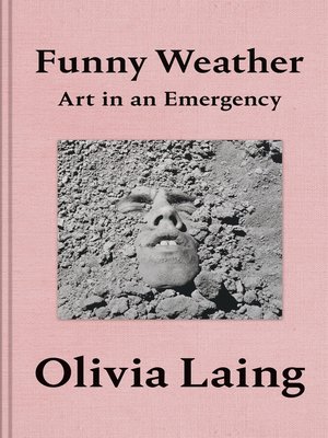 cover image of Funny Weather